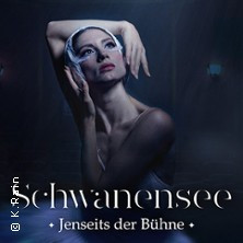 Schwanensee - Jenseits der Bühne - Live Streichquartett