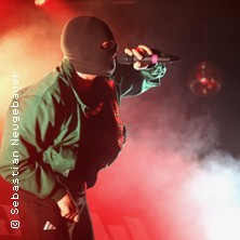 Waving The Guns - Im Zenit Tour 2026