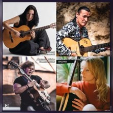 Nacht der Gitarren 2025